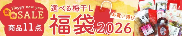 大相撲幕内優勝力士贈呈の福井梅