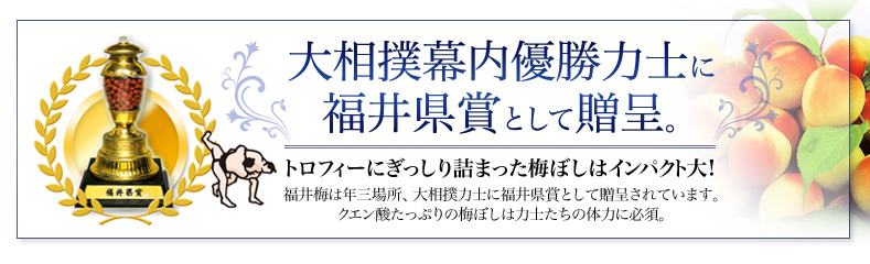 大相撲幕内優勝力士贈呈の福井梅