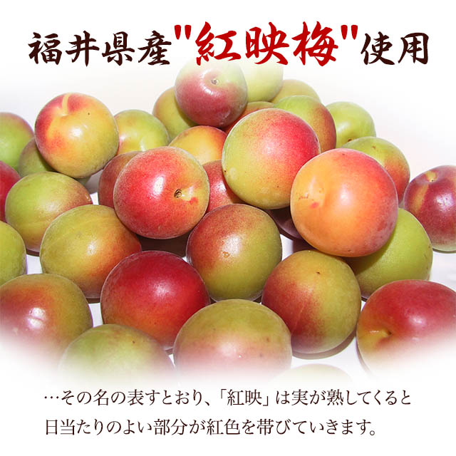 372円 売り切れ必至！ 梅干し 白干し 塩分10% 福井梅 紅映 無添加 すっぱい梅干し 完熟梅 減塩 内容量 450g