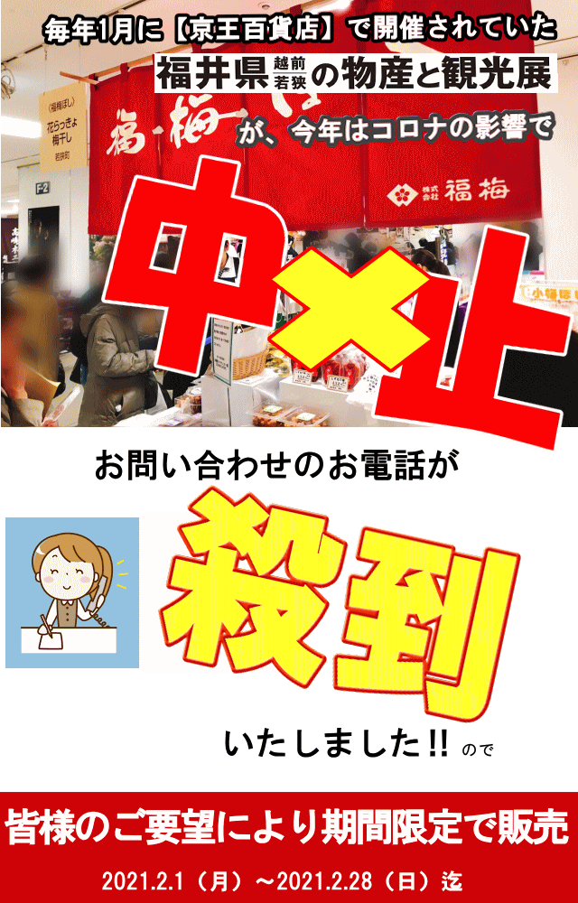 規格外 梅干し こんぶ福梅ぼし 500g こんぶ 福井県産 訳あり 規格外 梅干し こんぶ福梅ぼし 500g こんぶ 福井県産 訳あり