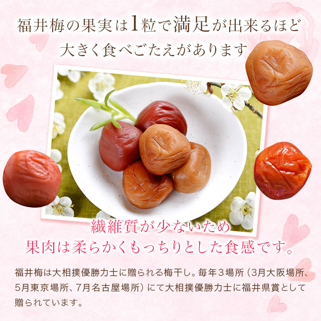 母の日ギフト 梅干し 送料無料 個包装 嬉 12粒入 カーネーション フラワー 紅映梅 詰め合わせ おしゃれ かわいい 母の日ギフト 梅干し 送料無料 個包装 嬉 12粒入 カーネーション フラワー 紅映梅 詰め合わせ おしゃれ かわいい