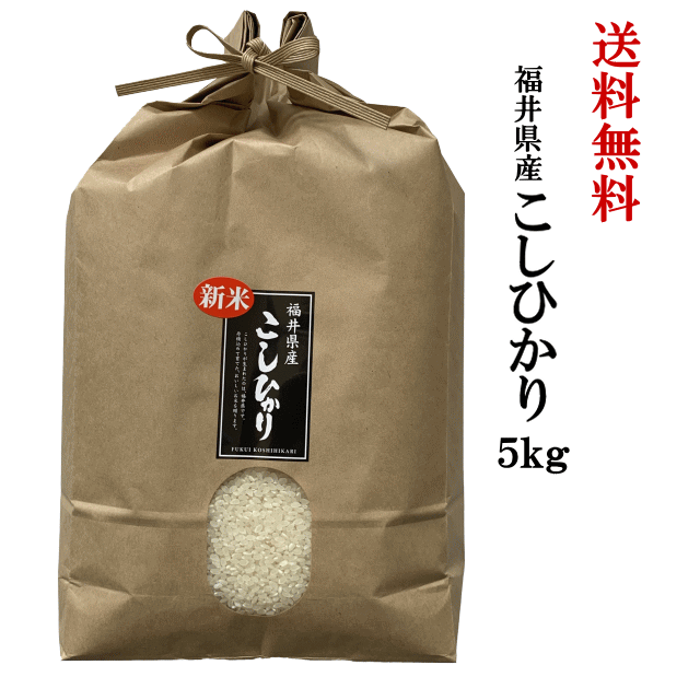 福井県産こしひかり5kg　送料無料